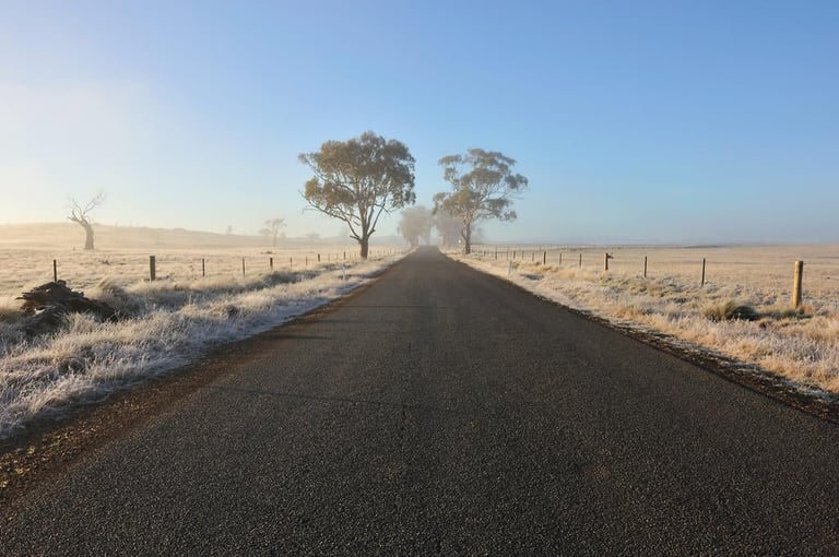 Straight asphalt road stretching toward horizon with two trees in distance, flanked by frosty grassland and fencing on a clear morning